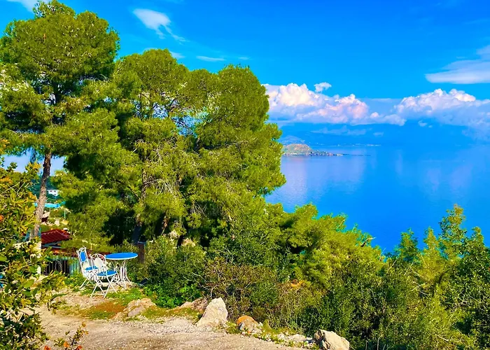 Pines & Sea